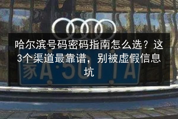 哈尔滨号码密码指南怎么选?这3个渠道最靠谱,别被虚假信息坑 第2张 哈尔滨号码密码指南怎么选?这3个渠道最靠谱,别被虚假信息坑 第2张