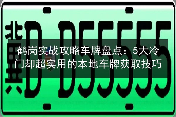 鹤岗实战攻略车牌盘点：5大冷门却超实用的本地车牌获取技巧