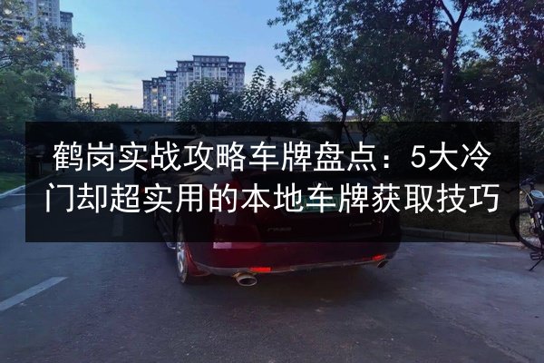 鹤岗实战攻略车牌盘点:5大冷门却超实用的本地车牌获取技巧 第2张 鹤岗实战攻略车牌盘点:5大冷门却超实用的本地车牌获取技巧 第2张