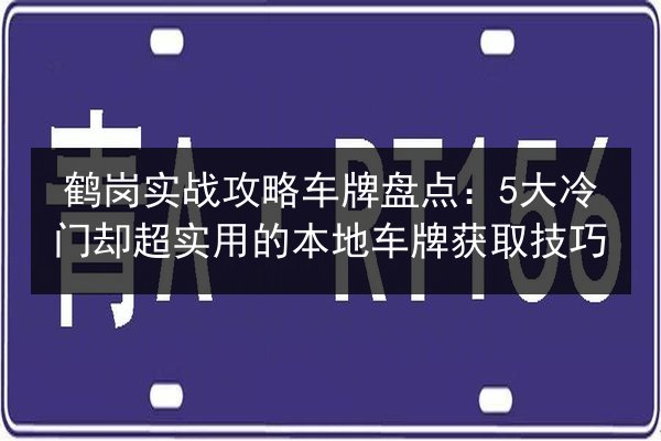 鹤岗实战攻略车牌盘点:5大冷门却超实用的本地车牌获取技巧 第3张 鹤岗实战攻略车牌盘点:5大冷门却超实用的本地车牌获取技巧 第3张