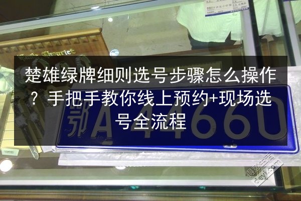 楚雄绿牌细则选号步骤怎么操作？手把手教你线上预约+现场选号全流程