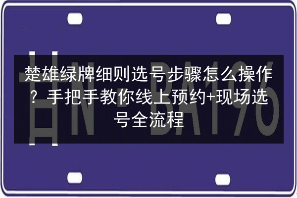 楚雄绿牌细则选号步骤怎么操作?手把手教你线上预约+现场选号全流程 第3张 楚雄绿牌细则选号步骤怎么操作?手把手教你线上预约+现场选号全流程 第3张