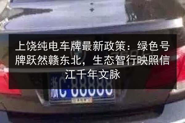 上饶纯电车牌最新政策：绿色号牌跃然赣东北，生态智行映照信江千年文脉 第2张