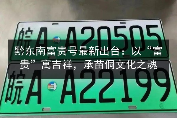 黔东南富贵号最新出台：以“富贵”寓吉祥，承苗侗文化之魂 第3张