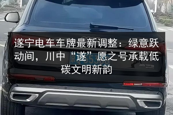 遂宁电车车牌最新调整:绿意跃动间,川中“遂”愿之号承载低碳文明新韵 第3张 遂宁电车车牌最新调整:绿意跃动间,川中“遂”愿之号承载低碳文明新韵 第3张
