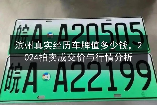 滨州真实经历车牌值多少钱，2024拍卖成交价与行情分析