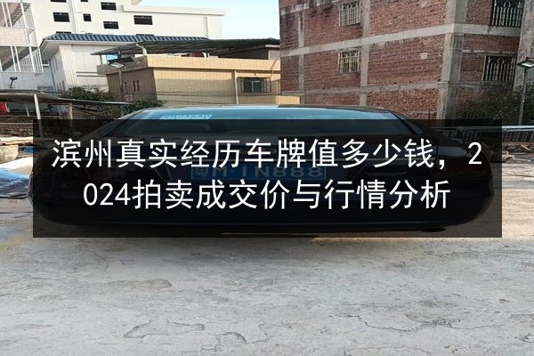 滨州真实经历车牌值多少钱，2024拍卖成交价与行情分析 第3张