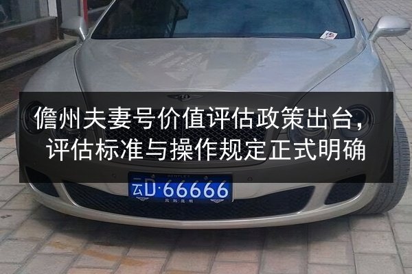 儋州夫妻号价值评估政策出台，评估标准与操作规定正式明确