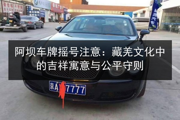 阿坝车牌摇号注意：藏羌文化中的吉祥寓意与公平守则 第2张
