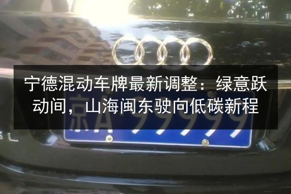 宁德混动车牌最新调整：绿意跃动间，山海闽东驶向低碳新程
