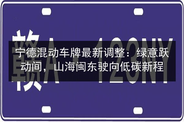 宁德混动车牌最新调整：绿意跃动间，山海闽东驶向低碳新程 第2张
