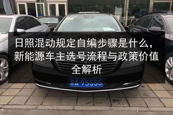 日照混动规定自编步骤是什么,新能源车主选号流程与政策价值全解析 第3张 日照混动规定自编步骤是什么,新能源车主选号流程与政策价值全解析 第3张