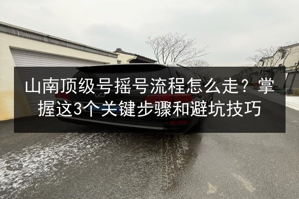 山南顶级号摇号流程怎么走？掌握这3个关键步骤和避坑技巧 第3张