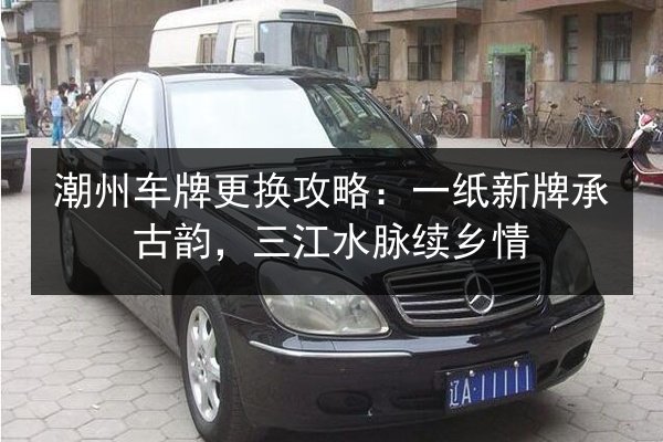 潮州车牌更换攻略：一纸新牌承古韵，三江水脉续乡情