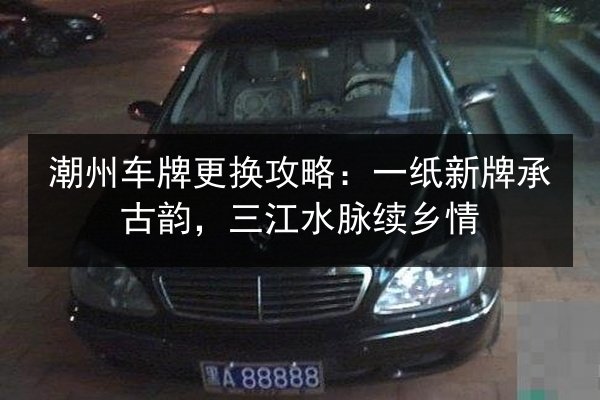 潮州车牌更换攻略：一纸新牌承古韵，三江水脉续乡情 第3张