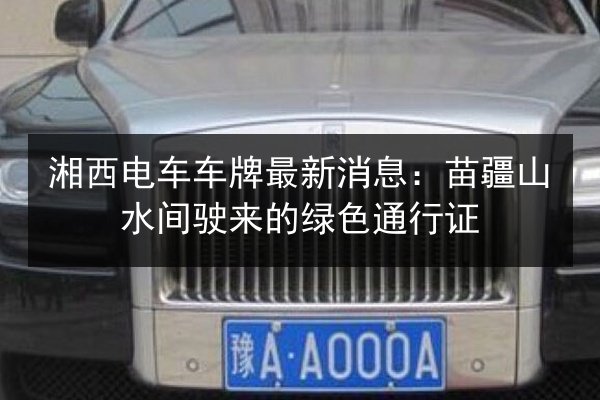 湘西电车车牌最新消息：苗疆山水间驶来的绿色通行证 第3张