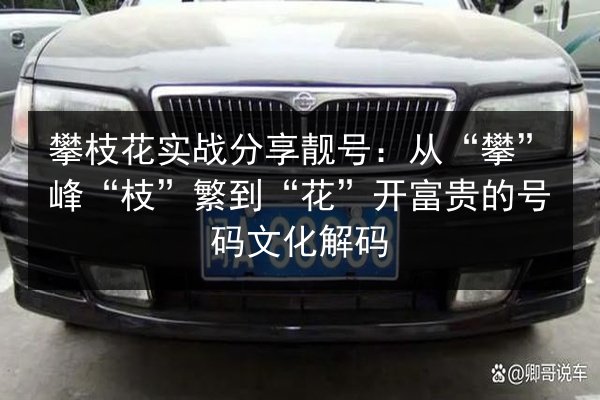 攀枝花实战分享靓号：从“攀”峰“枝”繁到“花”开富贵的号码文化解码 第1张