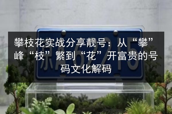 攀枝花实战分享靓号：从“攀”峰“枝”繁到“花”开富贵的号码文化解码 第2张