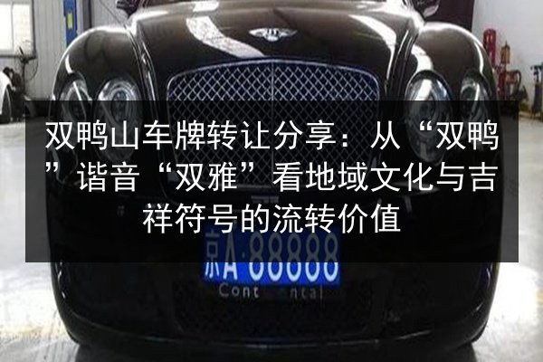 双鸭山车牌转让分享:从“双鸭”谐音“双雅”看地域文化与吉祥符号的流转价值 第3张 双鸭山车牌转让分享:从“双鸭”谐音“双雅”看地域文化与吉祥符号的流转价值 第3张