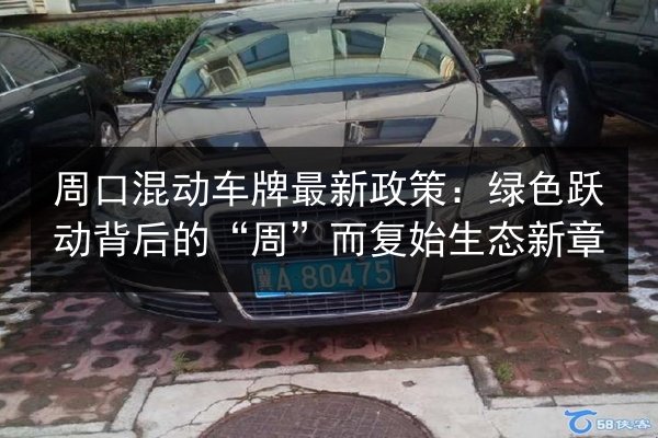 周口混动车牌最新政策:绿色跃动背后的“周”而复始生态新章 第3张 周口混动车牌最新政策:绿色跃动背后的“周”而复始生态新章 第3张