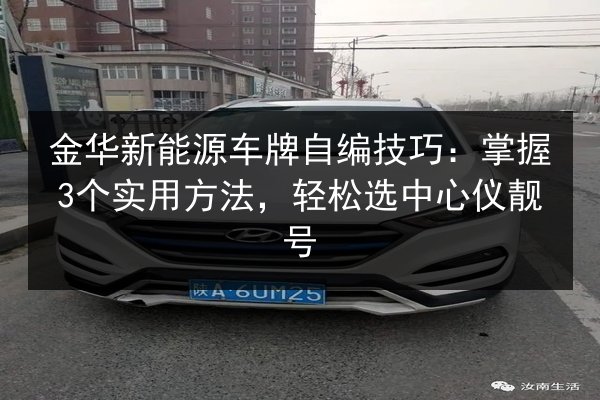 金华新能源车牌自编技巧:掌握3个实用方法,轻松选中心仪靓号 第2张 金华新能源车牌自编技巧:掌握3个实用方法,轻松选中心仪靓号 第2张