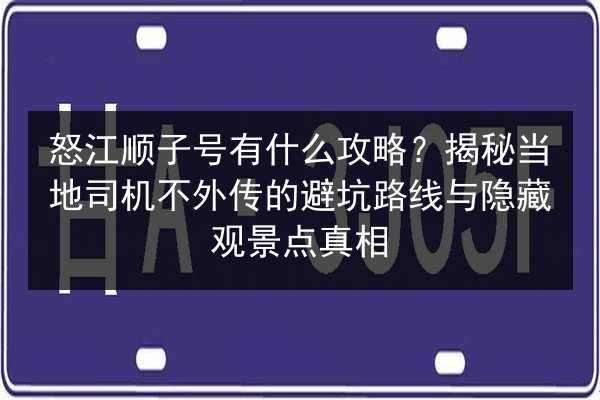 怒江顺子号有什么攻略？揭秘当地司机不外传的避坑路线与隐藏观景点真相