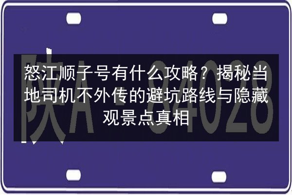 怒江顺子号有什么攻略?揭秘当地司机不外传的避坑路线与隐藏观景点真相 第3张 怒江顺子号有什么攻略?揭秘当地司机不外传的避坑路线与隐藏观景点真相 第3张