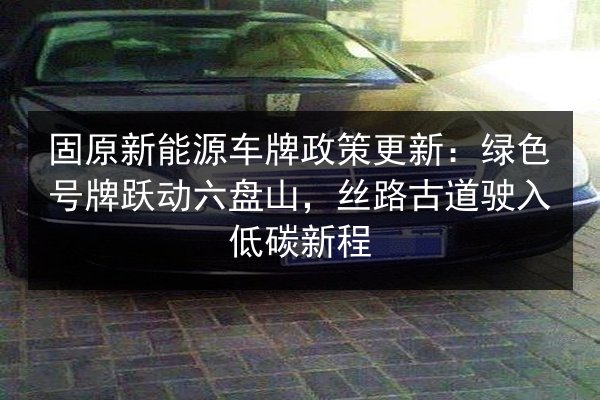 固原新能源车牌政策更新：绿色号牌跃动六盘山，丝路古道驶入低碳新程 第3张