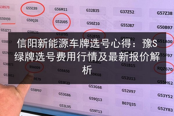 信阳新能源车牌选号心得：豫S绿牌选号费用行情及最新报价解析 第3张