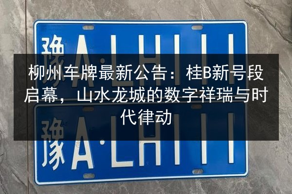 柳州车牌最新公告：桂B新号段启幕，山水龙城的数字祥瑞与时代律动