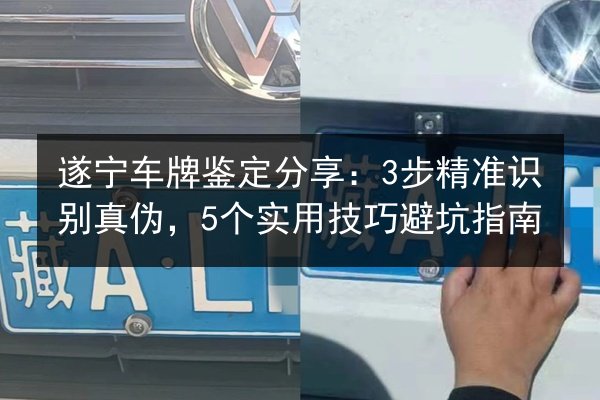 遂宁车牌鉴定分享：3步精准识别真伪，5个实用技巧避坑指南 第2张