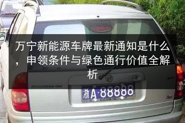 万宁新能源车牌最新通知是什么，申领条件与绿色通行价值全解析 第3张