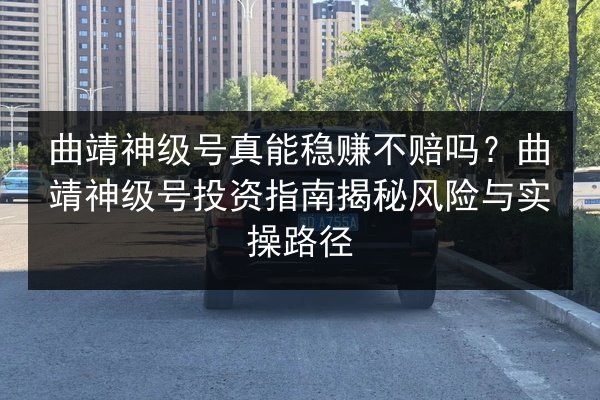 曲靖神级号真能稳赚不赔吗？曲靖神级号投资指南揭秘风险与实操路径