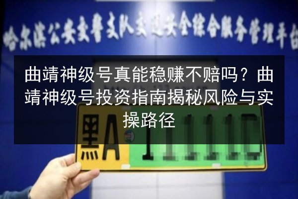 曲靖神级号真能稳赚不赔吗?曲靖神级号投资指南揭秘风险与实操路径 第2张 曲靖神级号真能稳赚不赔吗?曲靖神级号投资指南揭秘风险与实操路径 第2张