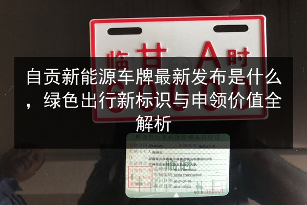 自贡新能源车牌最新发布是什么，绿色出行新标识与申领价值全解析