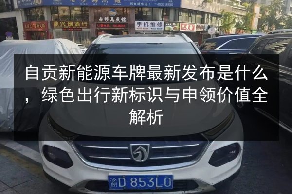 自贡新能源车牌最新发布是什么，绿色出行新标识与申领价值全解析 第2张