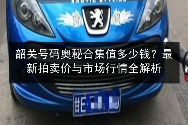 韶关号码奥秘合集值多少钱?最新拍卖价与市场行情全解析 第3张 韶关号码奥秘合集值多少钱?最新拍卖价与市场行情全解析 第3张