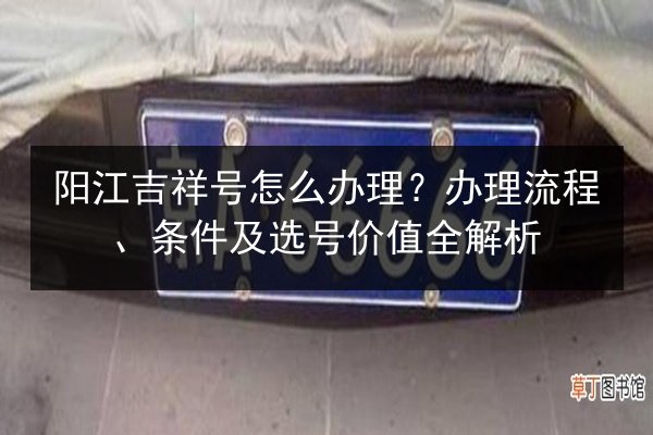 阳江吉祥号怎么办理？办理流程、条件及选号价值全解析