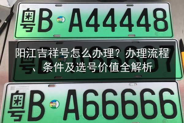 阳江吉祥号怎么办理?办理流程、条件及选号价值全解析 第2张 阳江吉祥号怎么办理?办理流程、条件及选号价值全解析 第2张