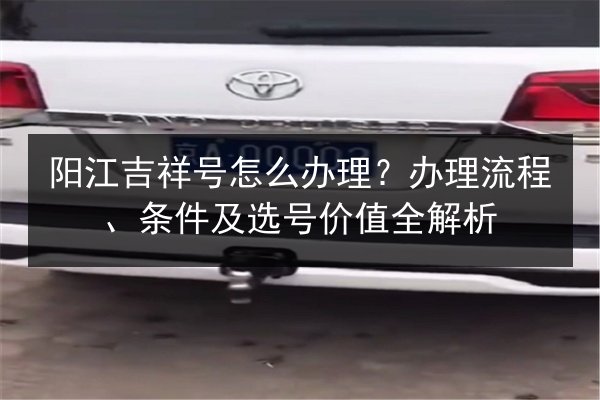阳江吉祥号怎么办理?办理流程、条件及选号价值全解析 第3张 阳江吉祥号怎么办理?办理流程、条件及选号价值全解析 第3张