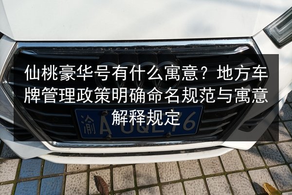 仙桃豪华号有什么寓意？地方车牌管理政策明确命名规范与寓意解释规定 第2张