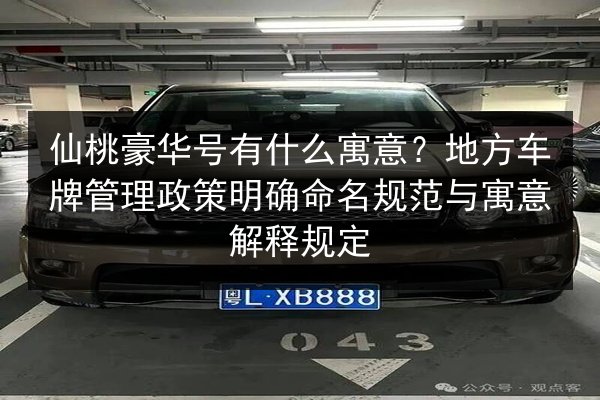 仙桃豪华号有什么寓意？地方车牌管理政策明确命名规范与寓意解释规定 第3张