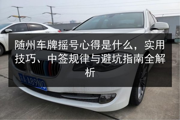 随州车牌摇号心得是什么,实用技巧、中签规律与避坑指南全解析 第3张 随州车牌摇号心得是什么,实用技巧、中签规律与避坑指南全解析 第3张