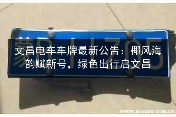 文昌电车车牌最新公告：椰风海韵赋新号，绿色出行启文昌 第2张