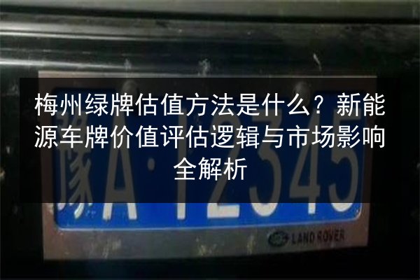 梅州绿牌估值方法是什么？新能源车牌价值评估逻辑与市场影响全解析 第3张