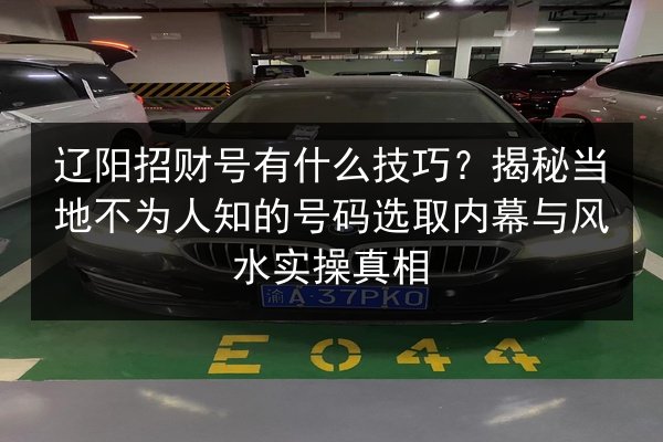 辽阳招财号有什么技巧？揭秘当地不为人知的号码选取内幕与风水实操真相