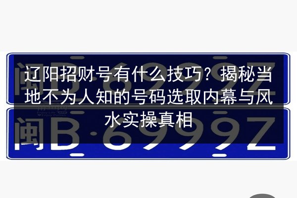 辽阳招财号有什么技巧?揭秘当地不为人知的号码选取内幕与风水实操真相 第2张 辽阳招财号有什么技巧?揭秘当地不为人知的号码选取内幕与风水实操真相 第2张