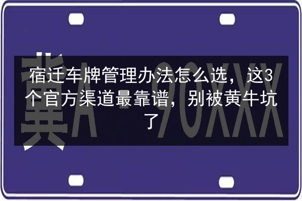 宿迁车牌管理办法怎么选，这3个官方渠道最靠谱，别被黄牛坑了 第2张