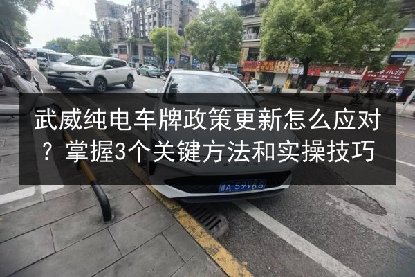 武威纯电车牌政策更新怎么应对?掌握3个关键方法和实操技巧 第2张 武威纯电车牌政策更新怎么应对?掌握3个关键方法和实操技巧 第2张