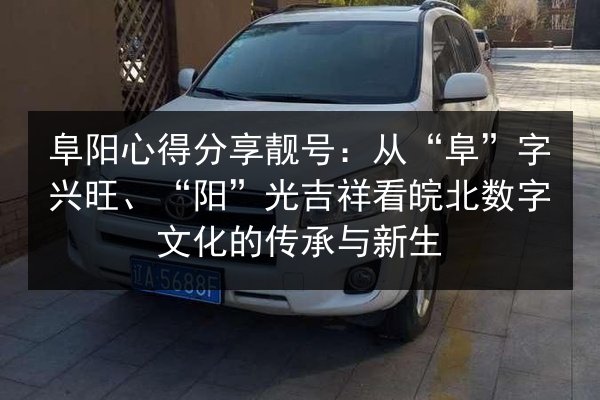 阜阳心得分享靓号：从“阜”字兴旺、“阳”光吉祥看皖北数字文化的传承与新生 第3张